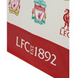 Liverpool bev&aacute;s&aacute;rl&oacute; t&aacute;ska