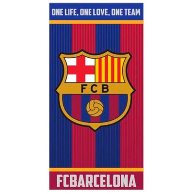 FC Barcelona t&ouml;r&ouml;lk&ouml;z&odblac; VIDA